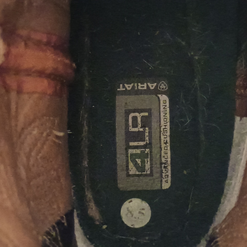 LAST CHANCE Ariat Ostrich Fatbaby Boots - Picture 4 of 7